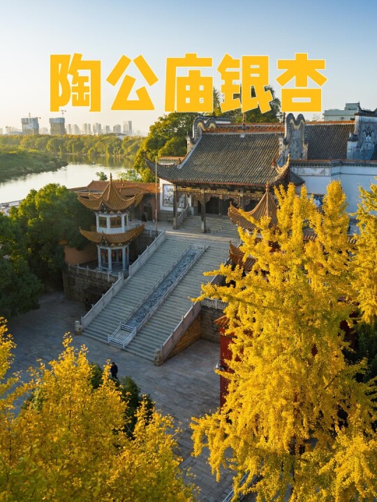 �Lɳ�t�������g�Ľ��S�չ��R���y���S���Lɳ��ɫ�Lɳ�չ��R�Lɳ�y���Lɳ������